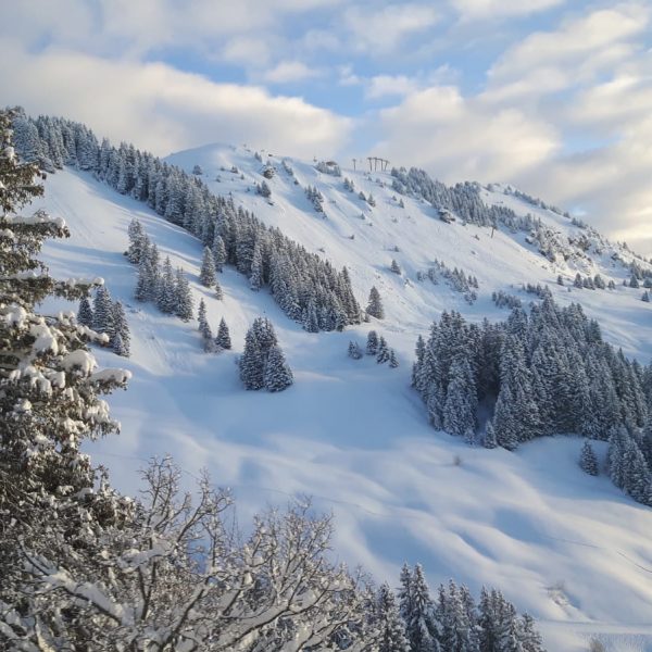 The snow conditions are excellent!